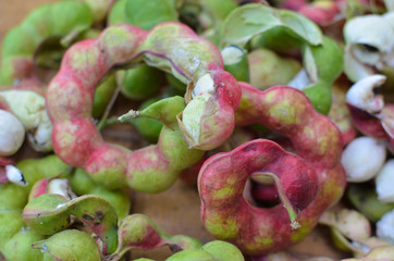 Ripe Pithecellobium dulce bean