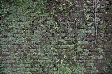 Old brick wall background