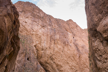 Fototapeta premium Todra Gorge, near Tinerhir (Morocco)