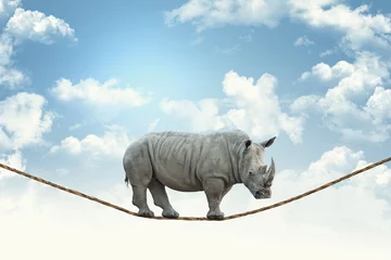 Acrylic prints Rhino rhino on rope