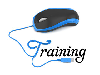 Online training concept