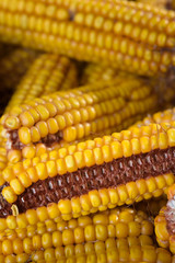 Dried corn cobs © andreaobzerova