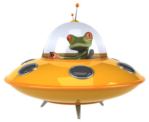 Fun frog