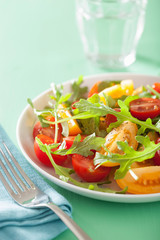 tomato salad with arugula over green background