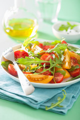 tomato salad with arugula over green background