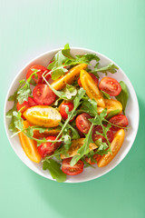 tomato salad with arugula over green background