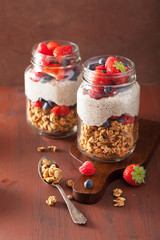 homemade granola and chia seed pudding with berry healthy breakf