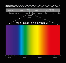 Fototapeta premium Electromagnetic spectrum of all possible frequencies of electromagnetic radiation with the colors of the visible spectrum. Isolated illustration on black background.