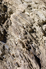 Stone texture closeup background