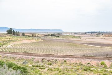 Farm scene near Vredendal