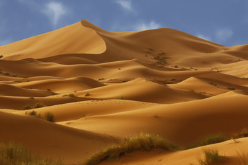 Fototapeta na wymiar Dunes of Sahara Desert , Morocco