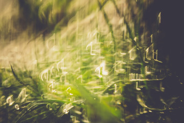 Spring Morning Grass Retro