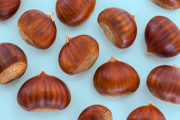 Texture of many chestnuts on light blue background, autumn decoration