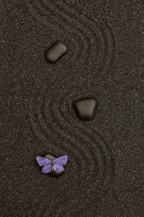 Fototapeta na wymiar Relaxing wave lines in the black zen sand with a vivid blue butterfly