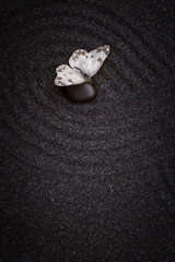 A white butterfly sit on black stone in a zen garden