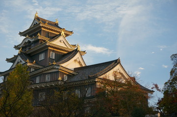 Naklejka premium 岡山城