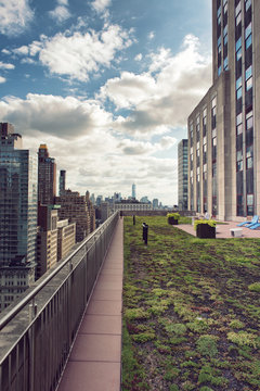 Green Rooftop Garden And New York City Skyscrapers