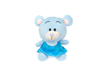 Teddy bear blue little cute