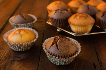 Vanilla and chocolate muffins on a dark wooden background, selective focus