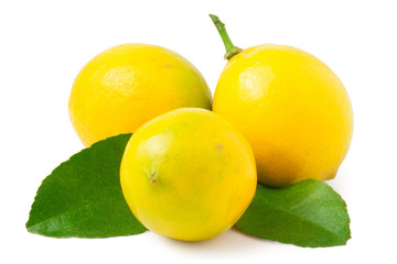 Three lemons on the white background isolated