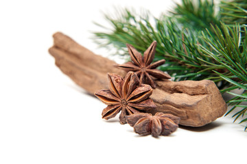 Fine star anis on white background