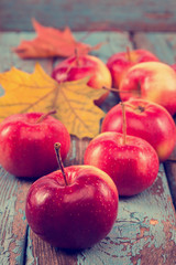 Fresh apples and autumn maple leaf.