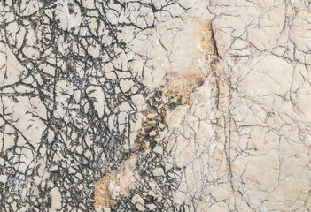 Closeup surface of big rock for decoration in the garden texture background