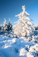 Winterlandschaft im Erzgebirge