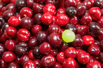 Kirschen und Weinbeere