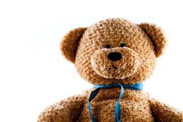 Teddy Bear On The Rise