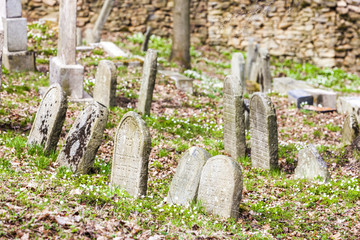 Jewish cemetery, Batelov, Czech Republic