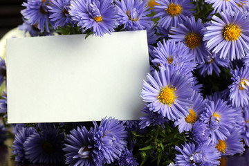 wild flowers bouquet rings