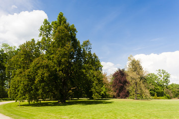 garden of Palace Sychrov, Czech Republic