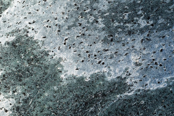 Polished quartzite tile flooring