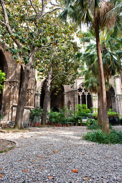 Lush Courtyard Garden at Barcelona Cathedral