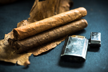 Cuban cigars on tobacco leafs