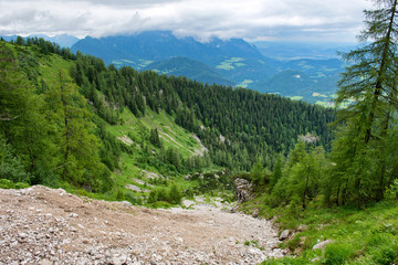 Mountain Forest Path Thru Bavarian Alps, Germany