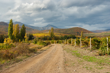 Fototapeta na wymiar Mountain landscape with earth road among vineyards in Crimean peninsula