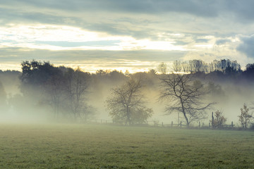 Herbstmorgen