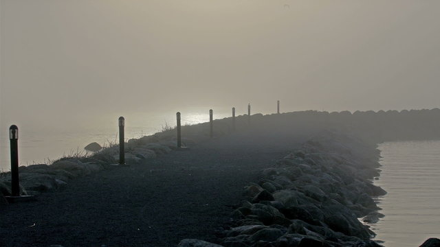 The foggy area of the beach in a late afternoon. It has long pathway towards the seaside