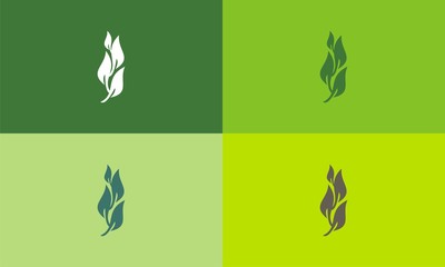 Fototapeta na wymiar Green leaf signs, design elements vector