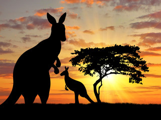 Fototapeta na wymiar Silhouette of a kangaroo with a baby