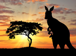 Silhouette of a kangaroo with a baby