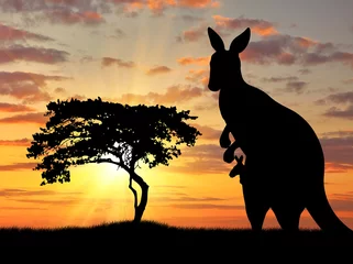 Photo sur Plexiglas Kangourou Silhouette of a kangaroo with a baby