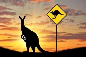 Wall murals Kangaroo Silhouette of a kangaroo with a baby