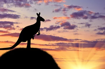 Fotobehang Kangoeroe Silhouet van een kangoeroe met een baby