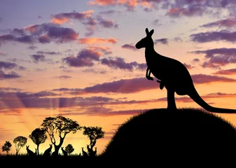 Foto op Plexiglas anti-reflex Kangoeroe Silhouet van een kangoeroe met een baby