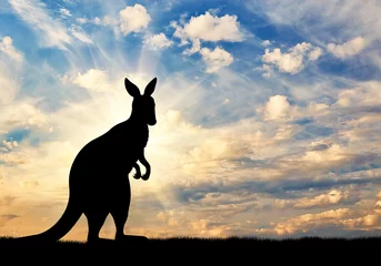 Fototapete Känguru Känguru-Silhouette gegen einen Himmel