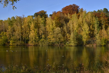 L'étang sauvage de la Ferme entouré d'arbres à feuillage dorée au parc Solvay de la Hulpe