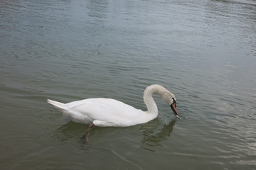 Осень на море